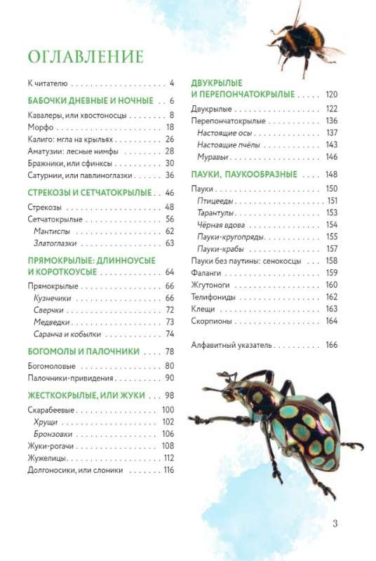 Insects of the World. Children's Encyclopedia