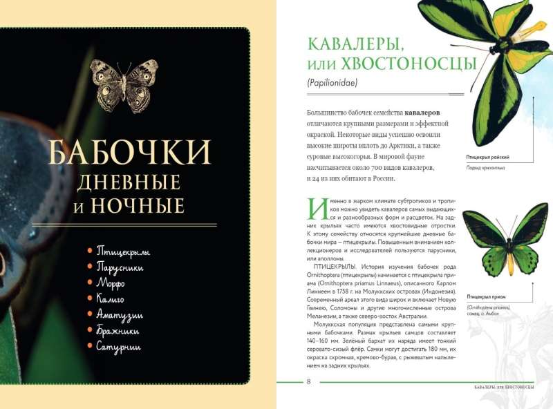 Insects of the World. Children's Encyclopedia