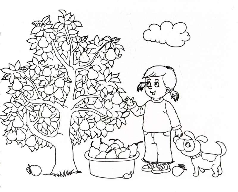 At the Farm