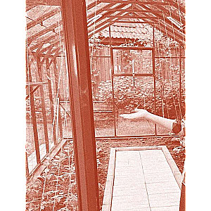 On the Smart Summer Cottage with Oksana Stankevich. Secrets and Practice of the Modern Gardener