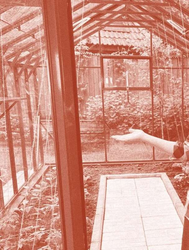 On the Smart Summer Cottage with Oksana Stankevich. Secrets and Practice of the Modern Gardener