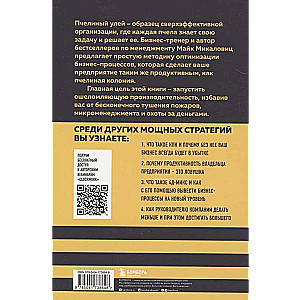 The Beehive Principle. How to Make Your Business Work More Efficiently Than a Bee Colony