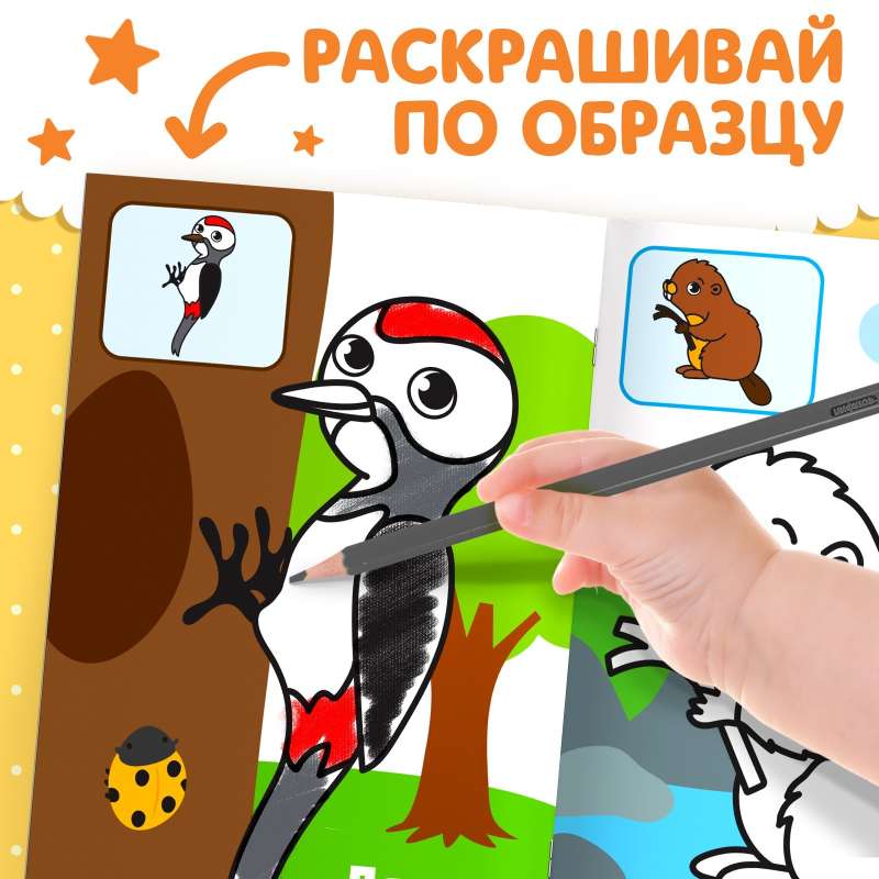 Coloring Book for Toddlers by Sample - Forest Animals