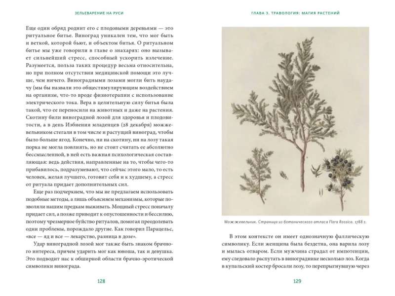 Herbology in Rus'. From Witches and Spells to Amulets and Lukomorye