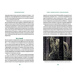 Herbology in Rus'. From Witches and Spells to Amulets and Lukomorye