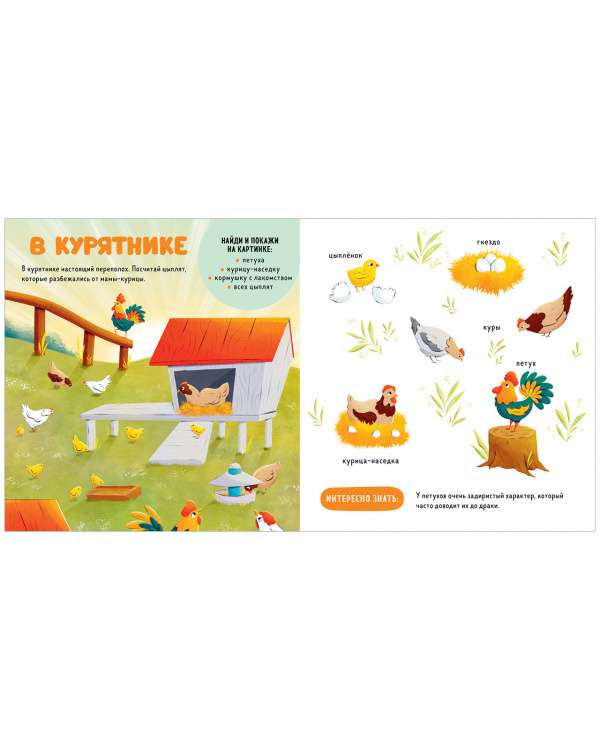 The Main Book for the Baby. Pets