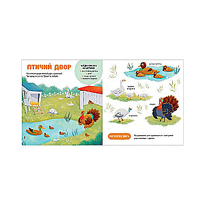 The Main Book for the Baby. Pets