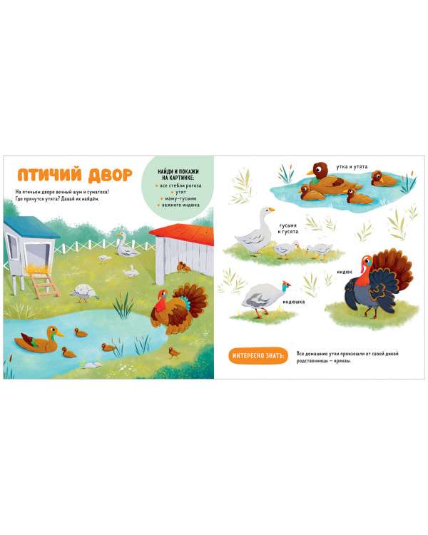 The Main Book for the Baby. Pets