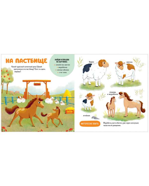 The Main Book for the Baby. Pets