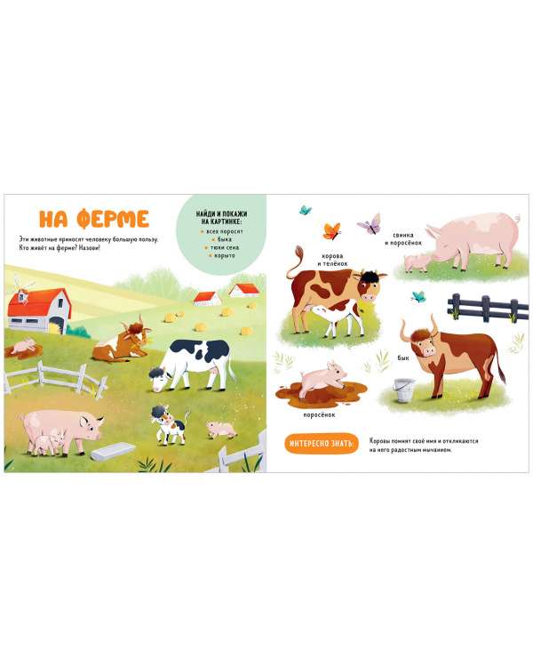 The Main Book for the Baby. Pets
