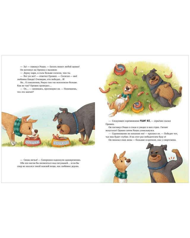 Picture Books. Let's Bet!