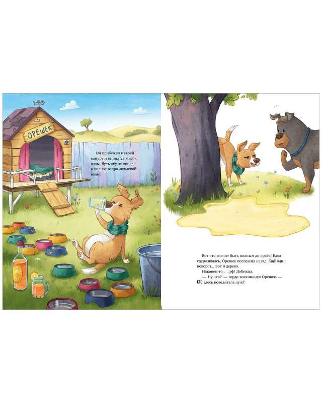 Picture Books. Let's Bet!