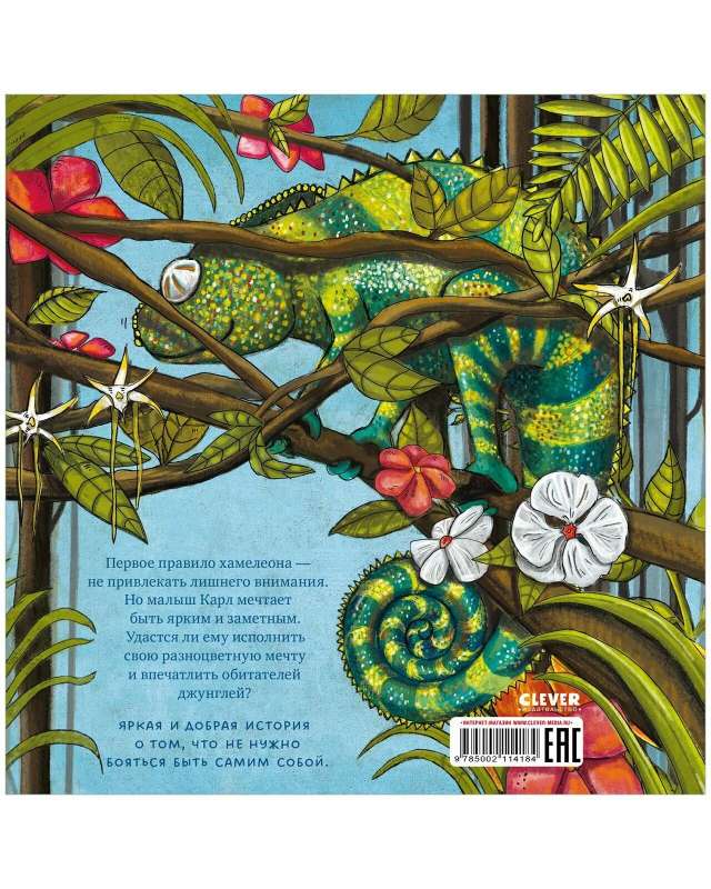 Picture Books. The Boldest Chameleon