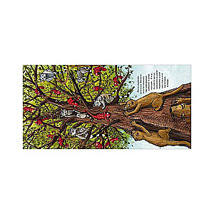 Picture Books. The Boldest Chameleon