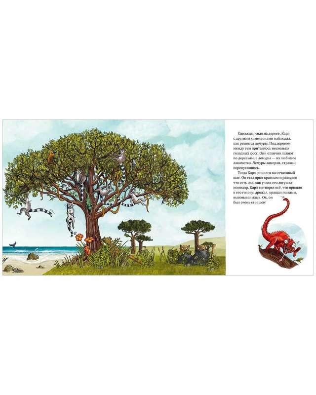 Picture Books. The Boldest Chameleon