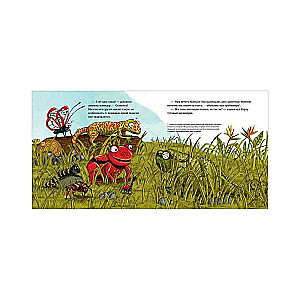 Picture Books. The Boldest Chameleon