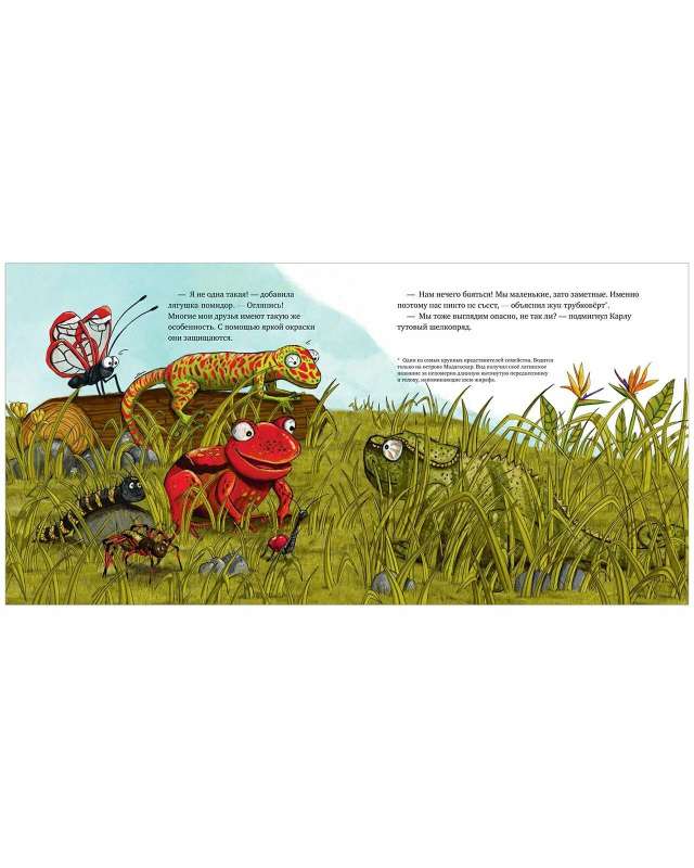 Picture Books. The Boldest Chameleon
