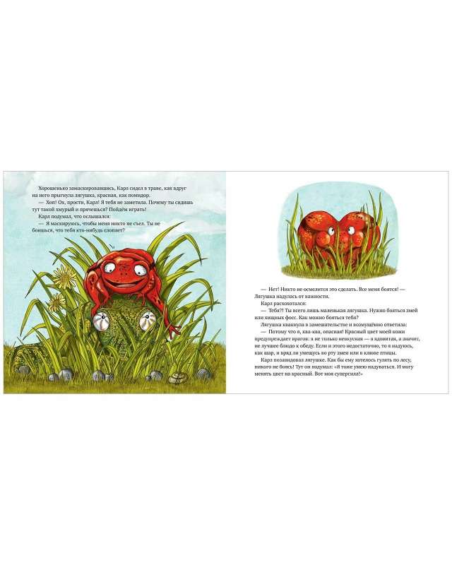Picture Books. The Boldest Chameleon