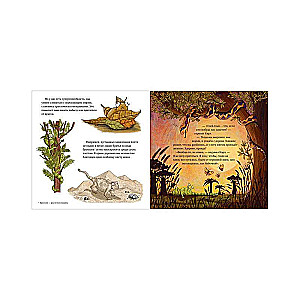 Picture Books. The Boldest Chameleon
