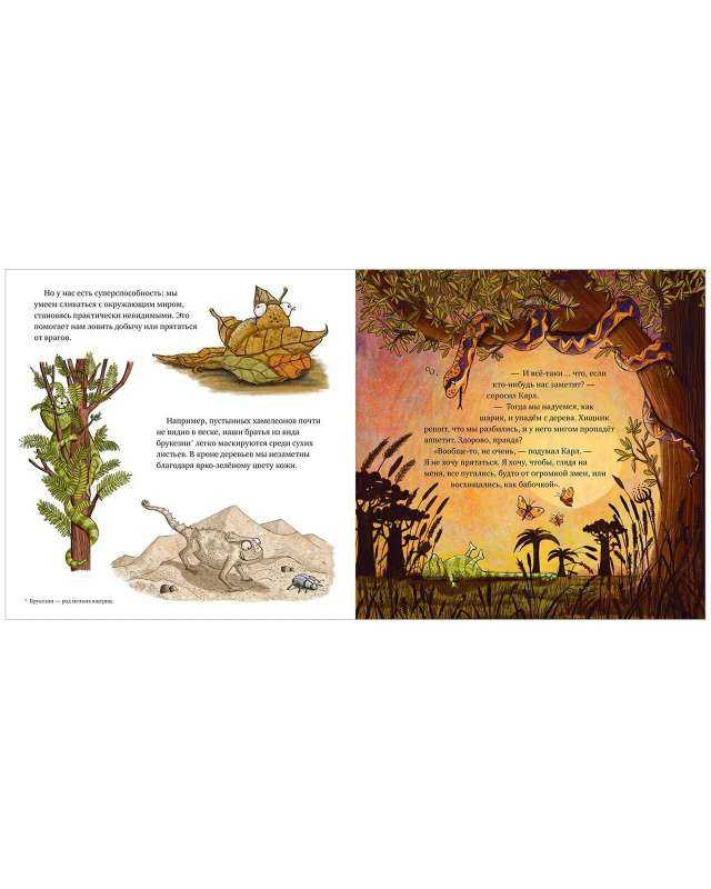 Picture Books. The Boldest Chameleon