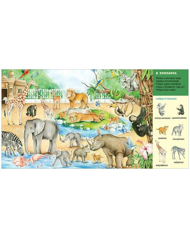Find and Show, Little One. In the Animal World