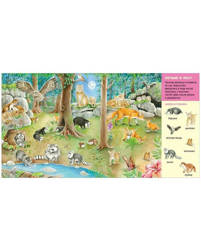 Find and Show, Little One. In the Animal World