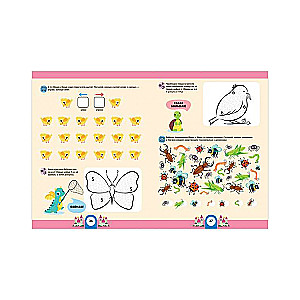 Develop and Play! Mathematical Intelligence. Developing the Brain