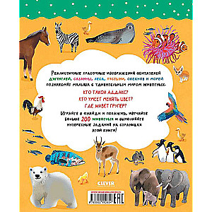 Find and Show. The Amazing World of Animals