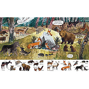Find and Show. The Amazing World of Animals