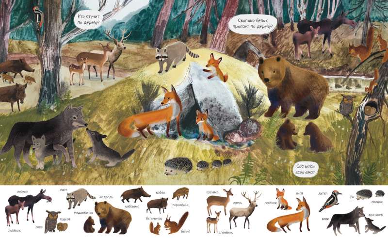 Find and Show. The Amazing World of Animals