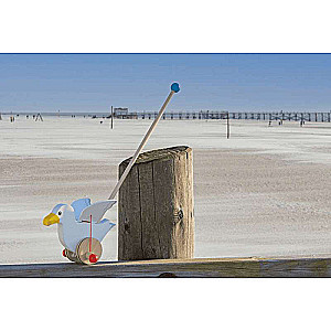 Pull Toy - Wooden Seagull Jonas