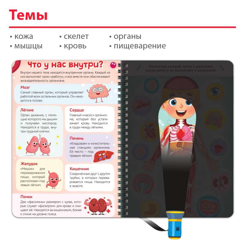 Smart Book with a Flashlight - My Body. Shine and Explore