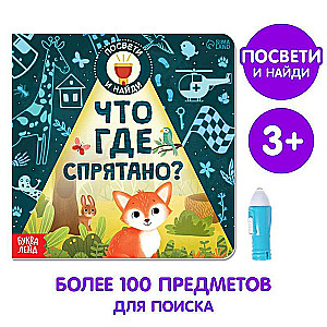 Book with a flashlight - What is hidden where?