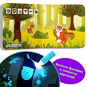 Book with a flashlight - What is hidden where?