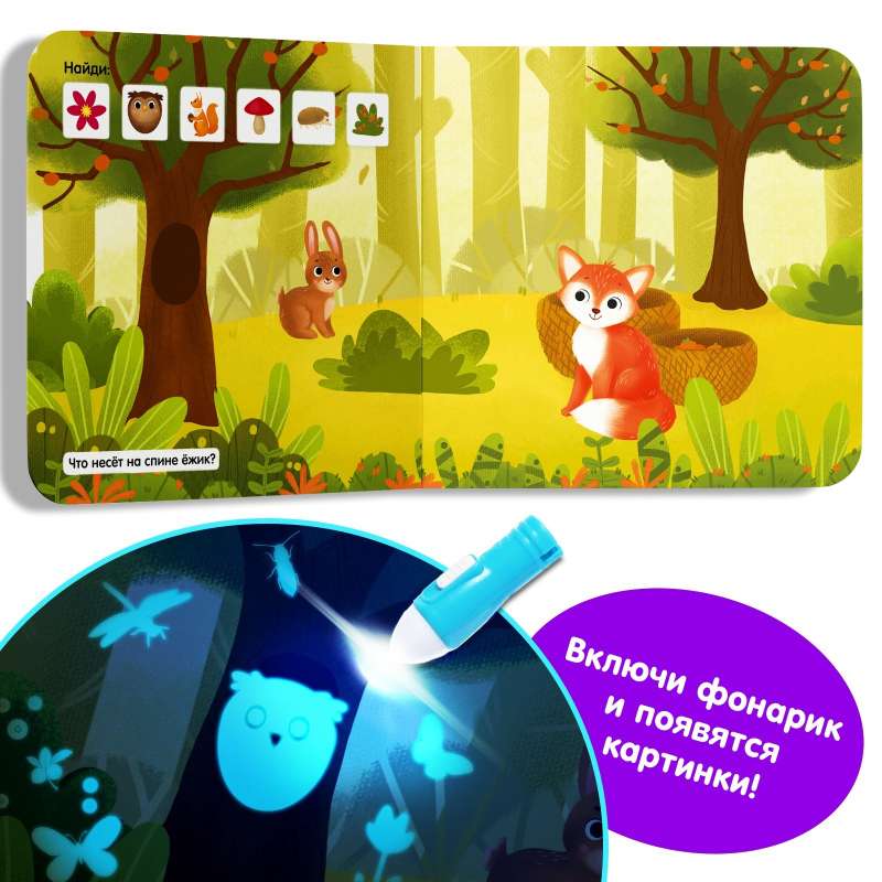 Book with a flashlight - What is hidden where?