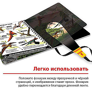 The Secret Book with a Magic Flashlight - Dinoland