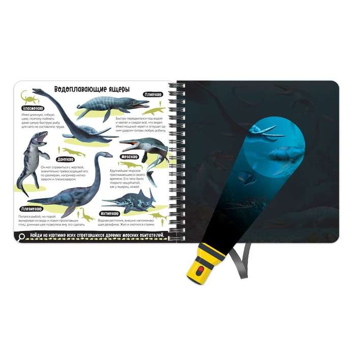 The Secret Book with a Magic Flashlight - Dinoland