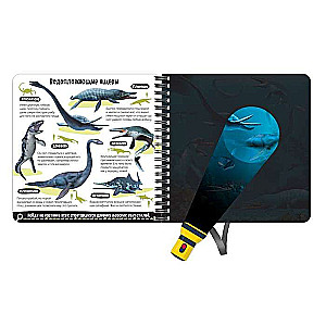 The Secret Book with a Magic Flashlight - Dinoland