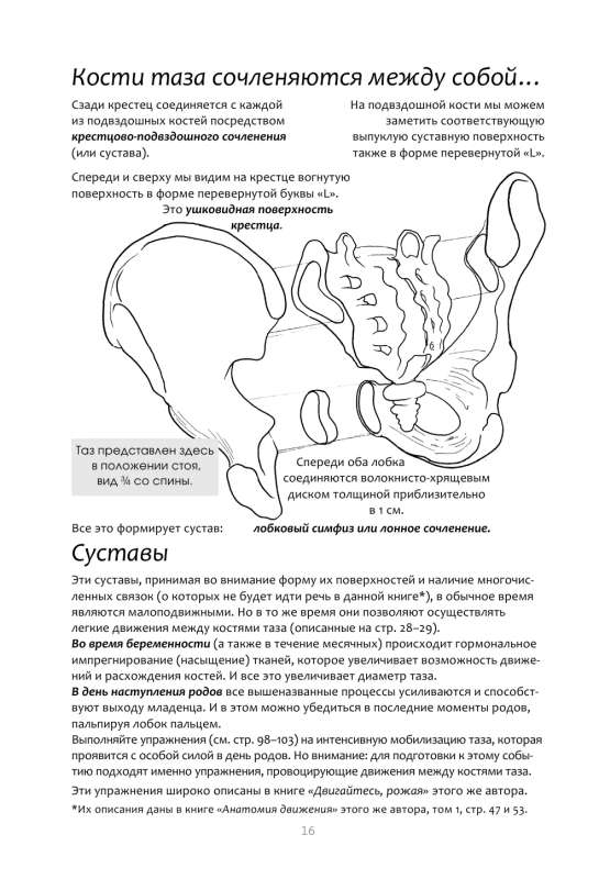 Exercise Book for Pelvic Floor Muscle Strengthening. French System of Complete Physical Recovery for Women