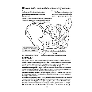 Exercise Book for Pelvic Floor Muscle Strengthening. French System of Complete Physical Recovery for Women