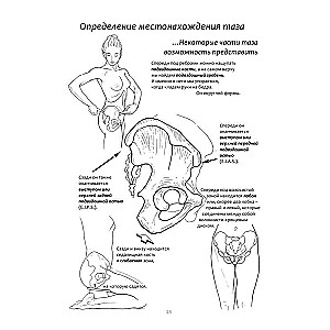 Exercise Book for Pelvic Floor Muscle Strengthening. French System of Complete Physical Recovery for Women