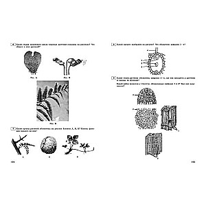 Unified State Exam-2024. Biology. Thematic Training Tasks