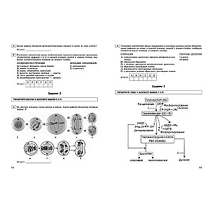 Unified State Exam-2024. Biology. Thematic Training Tasks