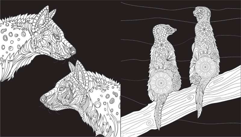Shades of Nature. Coloring Book on Black Background