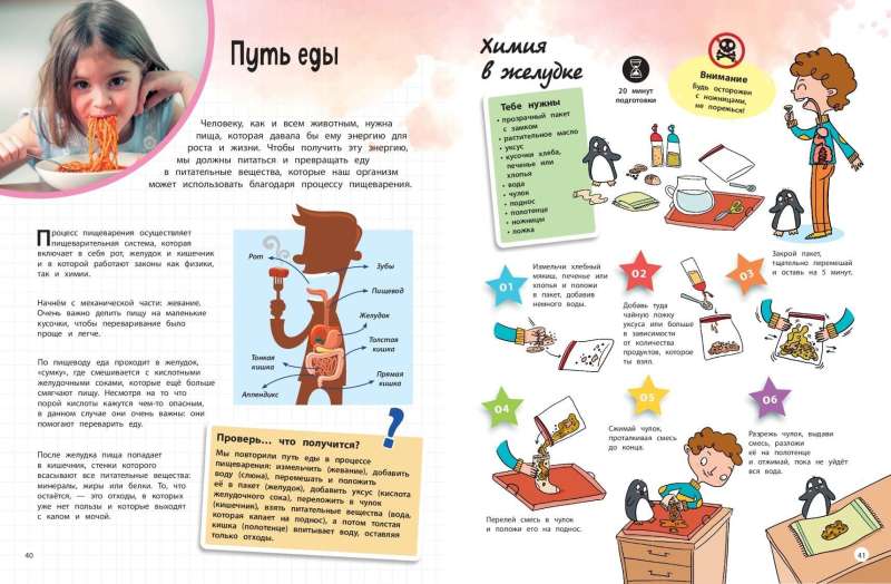 The Human Body: 25 Exciting Experiments Step by Step