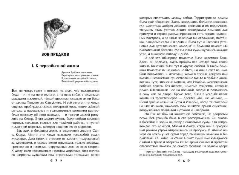 The Call of the Wild. Stories