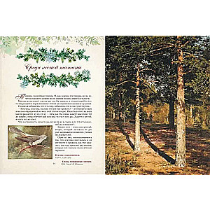 Gifts of the Russian Forest. Mushrooms, Berries, and Healing Plants