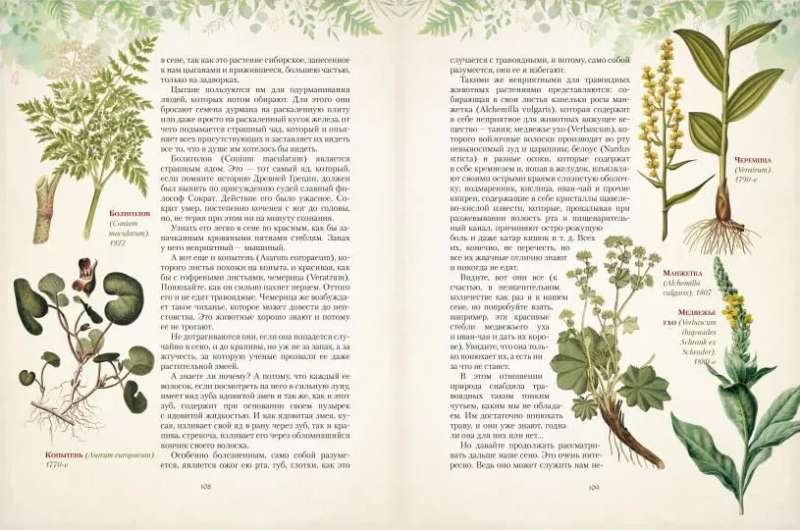 Gifts of the Russian Forest. Mushrooms, Berries, and Healing Plants