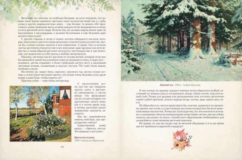 Gifts of the Russian Forest. Mushrooms, Berries, and Healing Plants