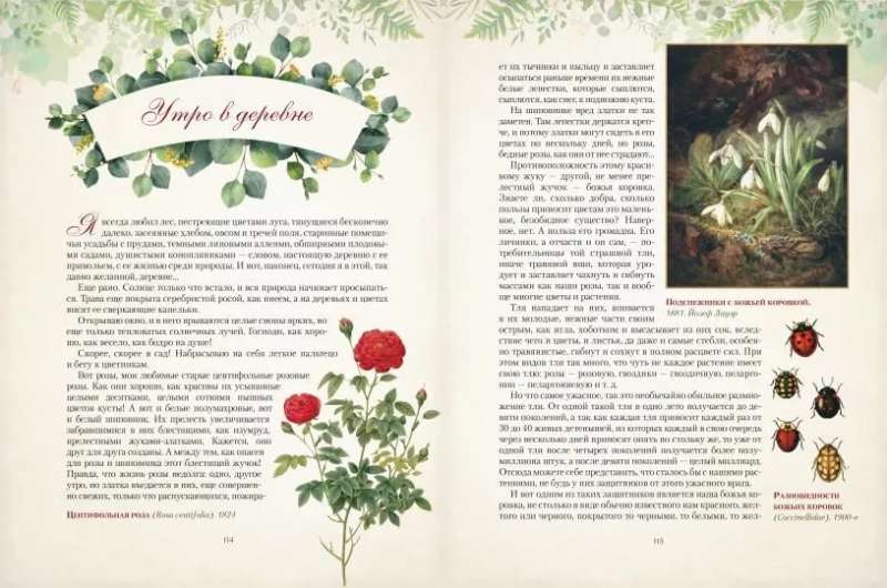 Gifts of the Russian Forest. Mushrooms, Berries, and Healing Plants